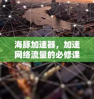 海豚加速器，加速网络流量的必修课