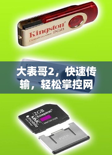 大表哥2，快速传输，轻松掌控网络