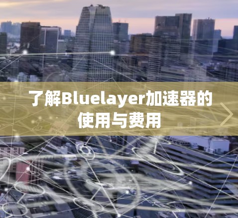 了解Bluelayer加速器的使用与费用