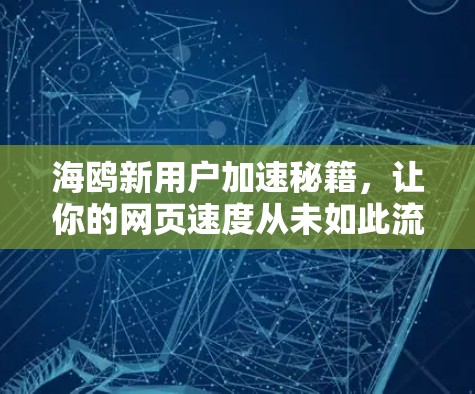 海鸥新用户加速秘籍，让你的网页速度从未如此流畅