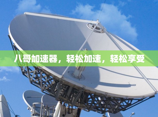 八哥加速器，轻松加速，轻松享受