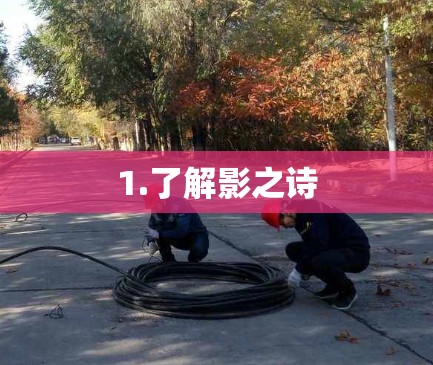 1.了解影之诗