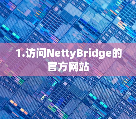 1.访问NettyBridge的官方网站