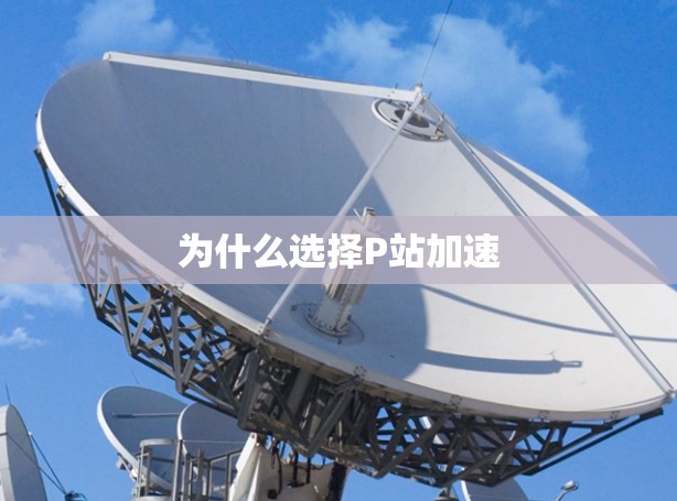 为什么选择P站加速 为什么选择P站加速