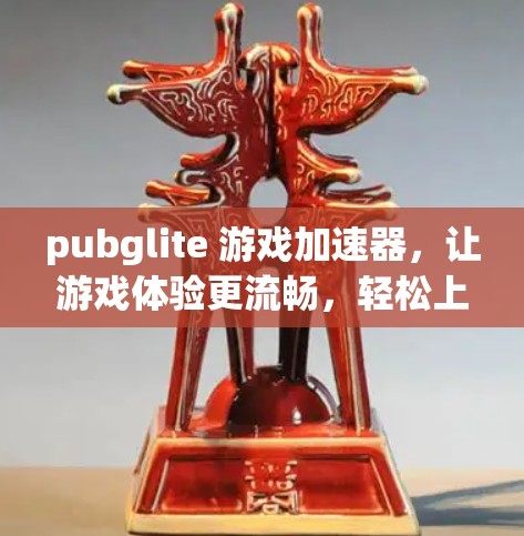pubglite 游戏加速器,让游戏体验更流畅,轻松上手 pubglite 游戏加速器,让游戏体验更流畅,轻松上手