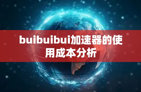 buibuibui加速器的使用成本分析