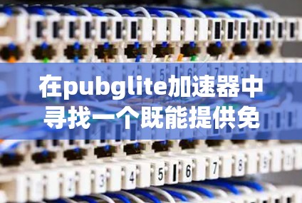在pubglite加速器中寻找一个既能提供免费又功能强大的工具是一个不错的选择。以下是一些推荐，涵盖不同的需求和功能