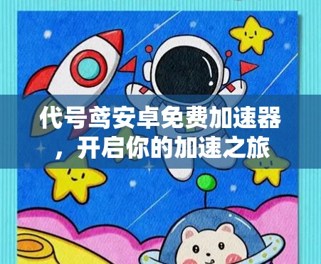 代号鸢安卓免费加速器，开启你的加速之旅