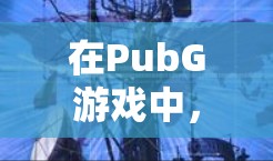 在PubG游戏中，以下几种方式可以使用免费的加速器