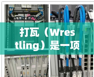 打瓦(Wrestling)是一项需要快速力量、爆发力和速度的运动,加速器可以帮助你更快地完成训练。以下是适合打瓦的免费加速器推荐 打瓦(Wrestling)是一项需要快速力量、爆发力和速度的运动,加速器可以帮助你更快地完成训练。以下是适合打瓦的免费加速器推荐