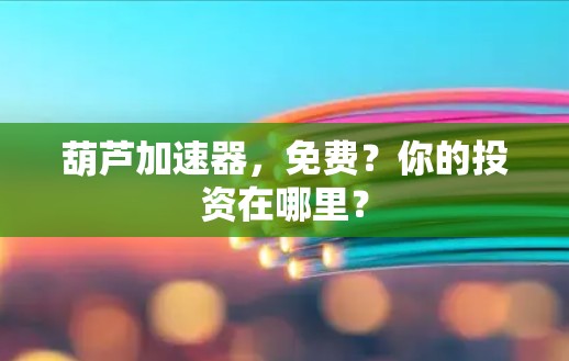 葫芦加速器，免费？你的投资在哪里？