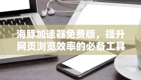 海豚加速器免费版，提升网页浏览效率的必备工具