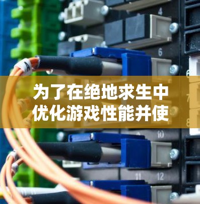 为了在绝地求生中优化游戏性能并使用免费的加速器，以下是分步骤的建议