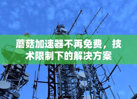 蘑菇加速器不再免费,技术限制下的解决方案 蘑菇加速器不再免费,技术限制下的解决方案