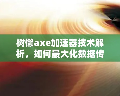 树懒axe加速器技术解析,如何最大化数据传输速度的通信工程师必知 树懒axe加速器技术解析,如何最大化数据传输速度的通信工程师必知