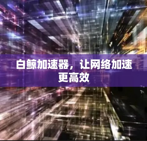 白鲸加速器,让网络加速更高效 白鲸加速器,让网络加速更高效