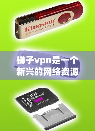 梯子vpn是一个新兴的网络资源管理概念，将网络资源利用梯子式的结构进行管理，类似于VPN通过网络架构访问外部网络。以下是关于梯子vpn的详细解释