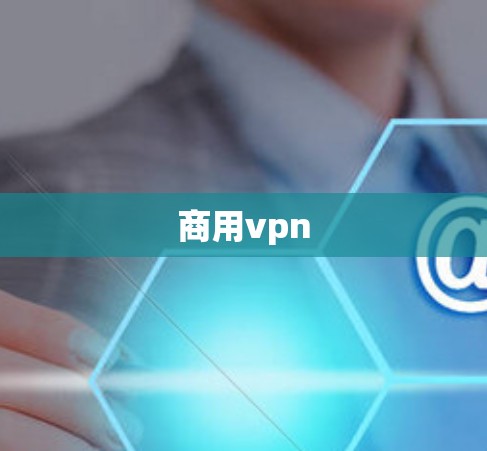 商用vpn
