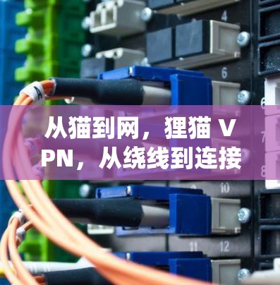 从猫到网，狸猫 VPN，从绕线到连接