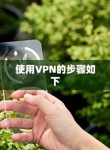 使用VPN的步骤如下