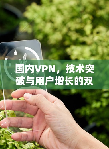国内VPN，技术突破与用户增长的双刃剑