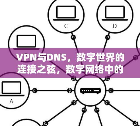 VPN与DNS，数字世界的连接之弦，数字网络中的安全与效率的双重保障