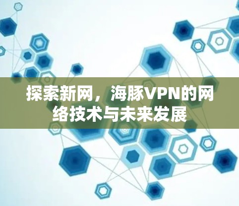 探索新网，海豚VPN的网络技术与未来发展
