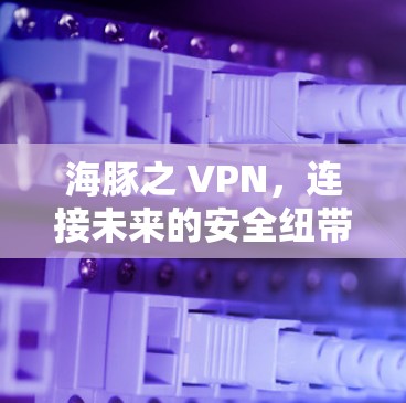 海豚之 VPN，连接未来的安全纽带