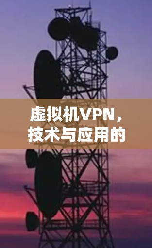 虚拟机VPN，技术与应用的双刃剑