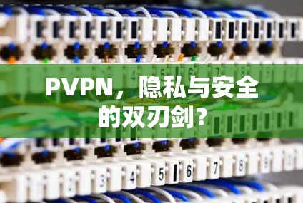 PVPN，隐私与安全的双刃剑？