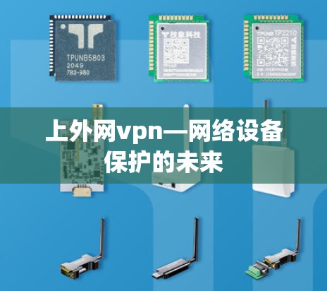 上外网vpn—网络设备保护的未来 上外网vpn—网络设备保护的未来