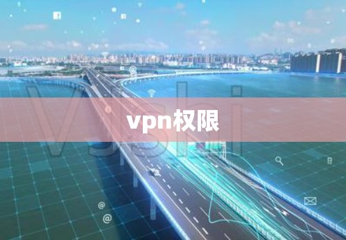 vpn权限