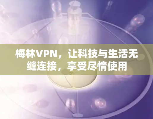 梅林VPN，让科技与生活无缝连接，享受尽情使用