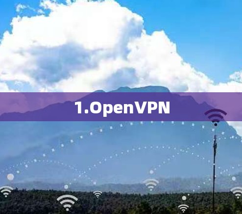 1.OpenVPN 1.OpenVPN