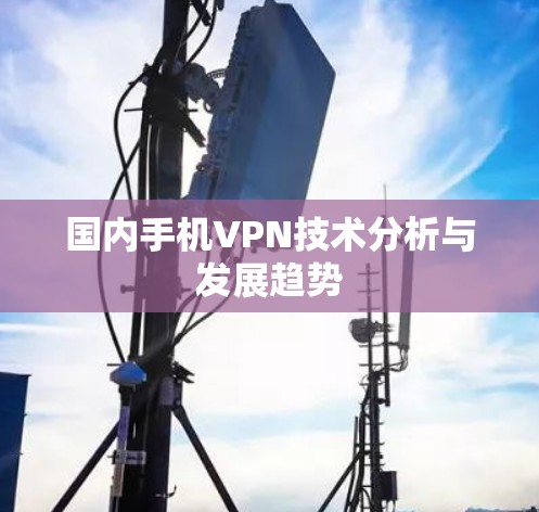 国内手机VPN技术分析与发展趋势 国内手机VPN技术分析与发展趋势