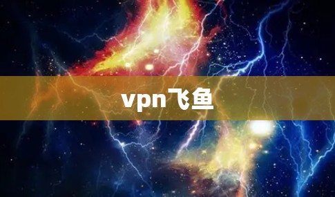 vpn飞鱼 vpn飞鱼