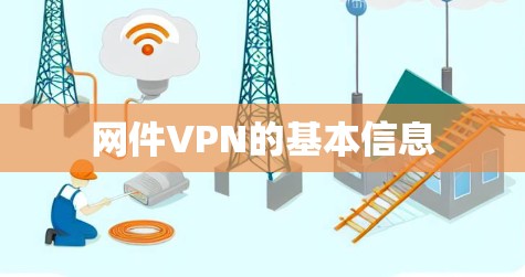 网件VPN的基本信息
