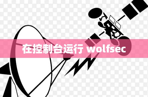 在控制台运行 wolfsec 在控制台运行 wolfsec