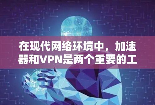 在现代网络环境中，加速器和VPN是两个重要的工具，各自承担不同的功能。以下是对这两种工具的详细分析和建议
