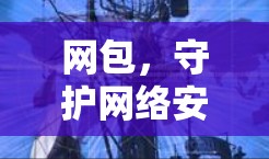 网包，守护网络安全的大盾—深度解析VPN漏洞