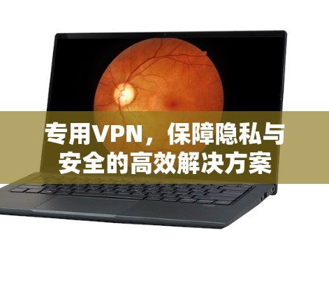 专用VPN，保障隐私与安全的高效解决方案