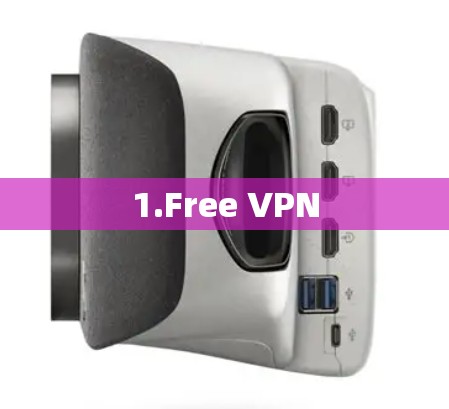 1.Free VPN