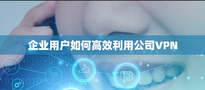 企业用户如何高效利用公司VPN