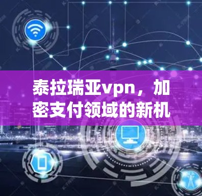 泰拉瑞亚vpn，加密支付领域的新机遇与挑战