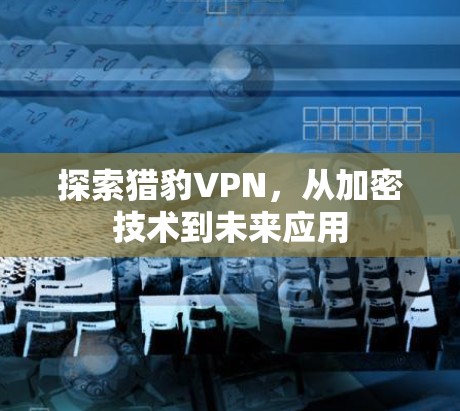 探索猎豹VPN，从加密技术到未来应用