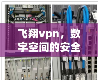 飞翔vpn，数字空间的安全密码