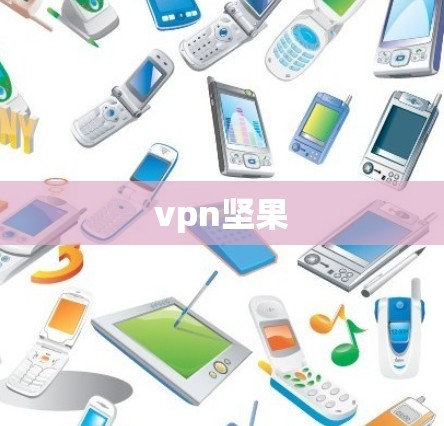 vpn坚果