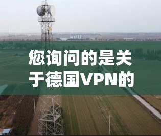 您询问的是关于德国VPN的信息。根据我的了解，德国有多个知名的VPN服务提供商，这些提供商在全球范围内提供VPN服务。如果您想访问海外的网站或分享文件，可以使用这些提供商提供的VPN服务