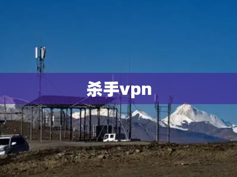 杀手vpn 杀手vpn