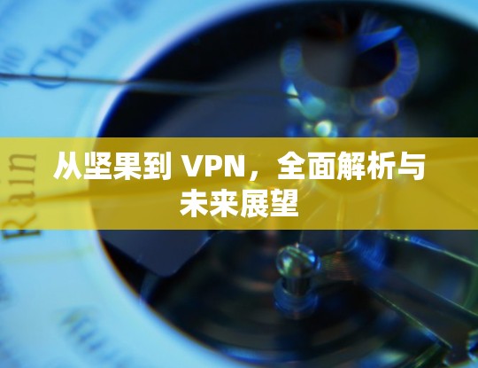 从坚果到 VPN，全面解析与未来展望
